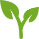 leaves-of-a-plant
